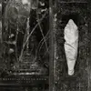 WOLVES IN THE THRONE ROOM – estuary (CD, LP Vinyl)