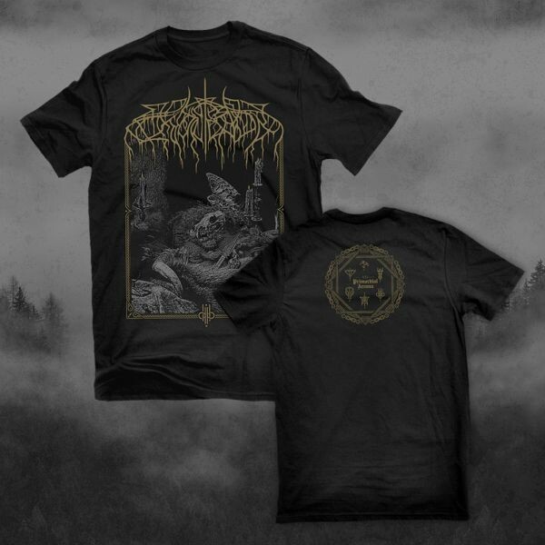 Cover WOLVES IN THE THRONE ROOM, primordial arcana (boy) black