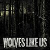 WOLVES LIKE US – black soul choir (CD, LP Vinyl)