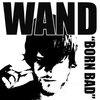 WOODEN WAND – born bad (LP Vinyl)