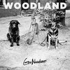 WOODLAND – go nowhere (LP Vinyl)