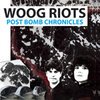 WOOG RIOTS – post bomb chronicles (LP Vinyl)