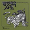 WRONG SIDE – tremors (LP Vinyl)