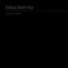 YELLOW UMBRELLA – the black album (CD, LP Vinyl)
