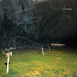 YO LA TENGO – this stupid world (CD, LP Vinyl)