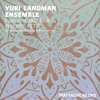 YURI LANDMAN ENSEMBLE FEAT. JAD FAIR – that´s right, go cats (LP Vinyl)