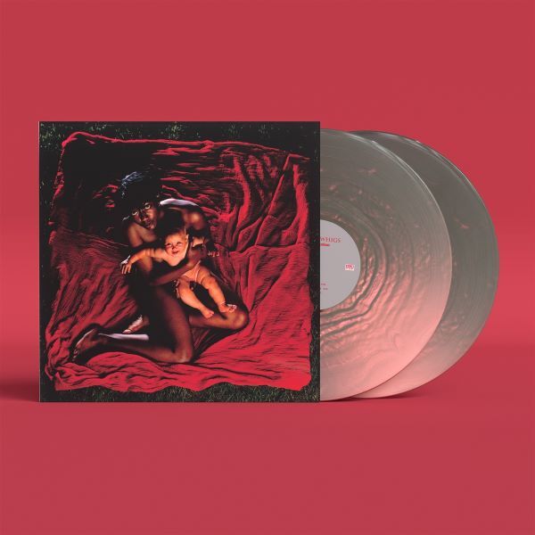 AFGHAN WHIGS, congregation (LPx2 col.)
