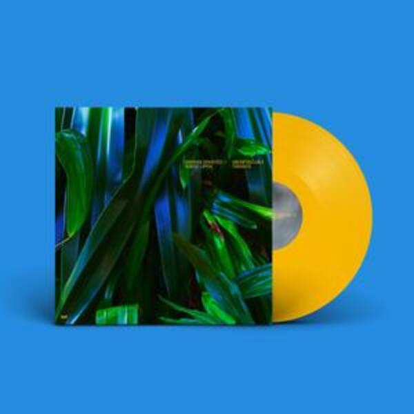 ANUSHKA CHKHEIDZE & ROBERT LIPPOK, uncontrollable thoughts (LPcol+MP3)