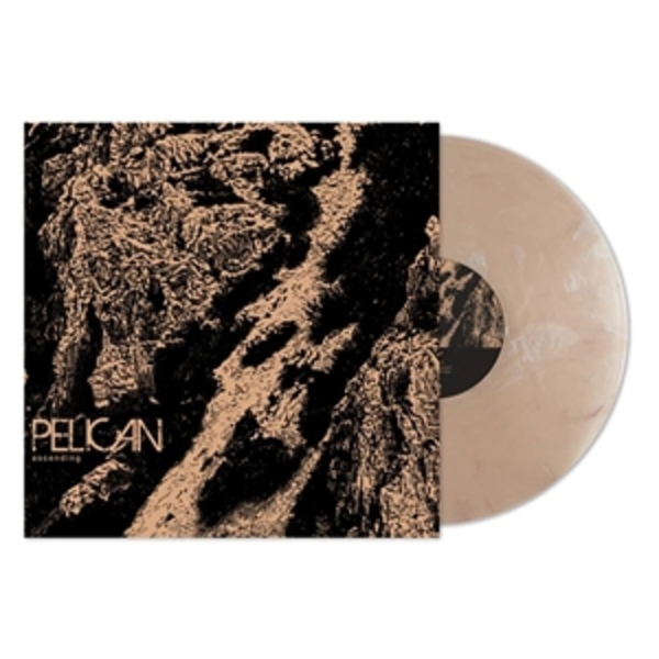 PELICAN, ascending (12"col)