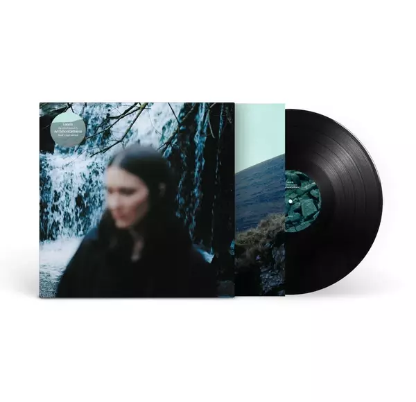 ART SCHOOL GIRLFRIEND, lean in (LP)