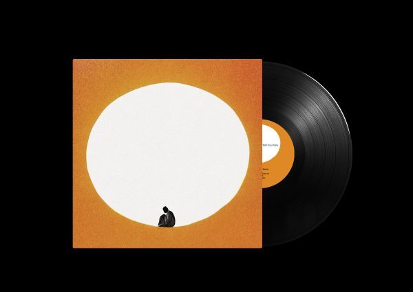 DEATH CAB FOR CUTIE, i built you a tower (LP)