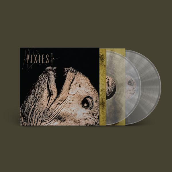 PIXIES, complete b-sides 1988-1997 (+6 bonustracks) (LPx2 col.)