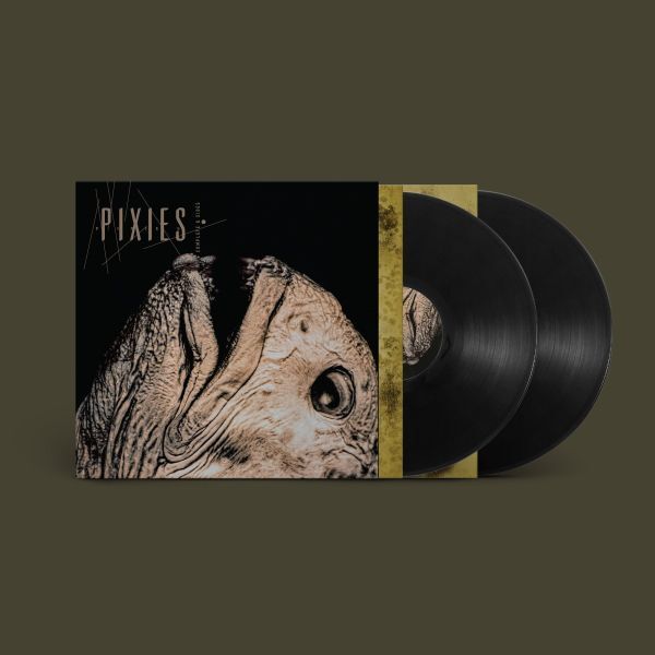 PIXIES, complete b-sides 1988-1997 (+6 bonustracks) (LPx2)