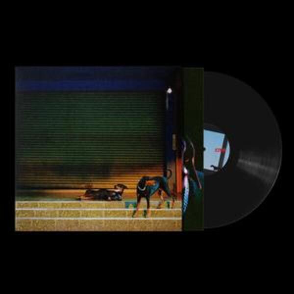 OVERMONO, pure devotion (LP)