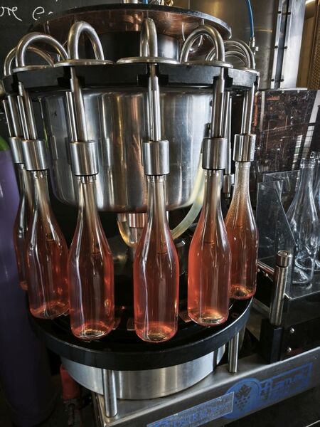 FLIGHT 13 WINERY, zen arcade - rosé (3er bundle) (Zub.)