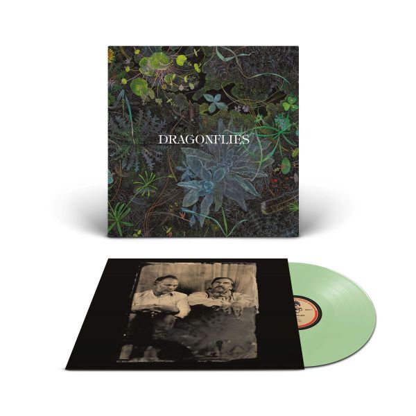 DRAGONFLIES, s/t (LPcol)
