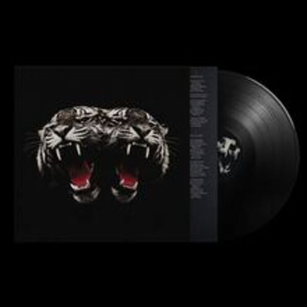 ROYAL BLOOD, dead company (LP)