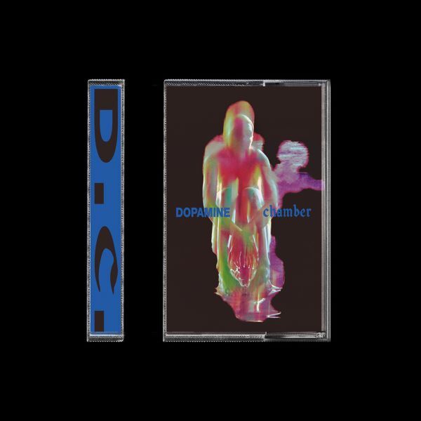 FONTAINES D.C., dopamine chamber (MC)