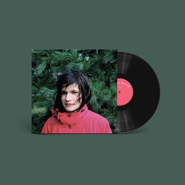 ADRIANNE LENKER, hours were the birds (LP)